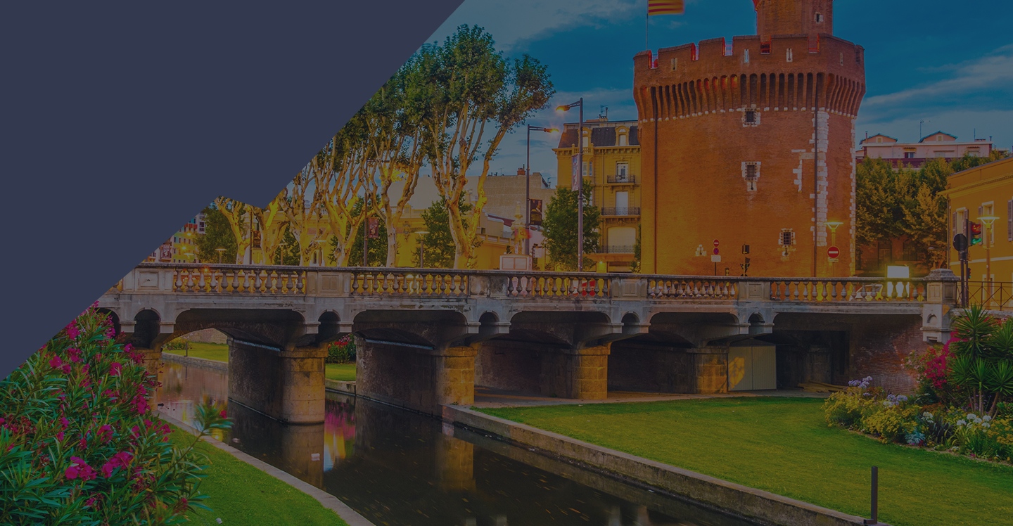 Vue nocturne du Castillet à Perpignan, pont sur la Basse et lauriers-roses