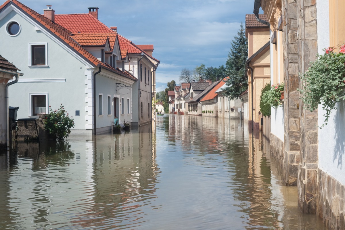 Document État des risques et pollutions sur un plan cadastral